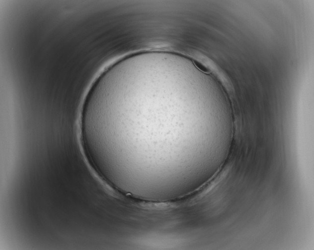 X0000091731432200709141216