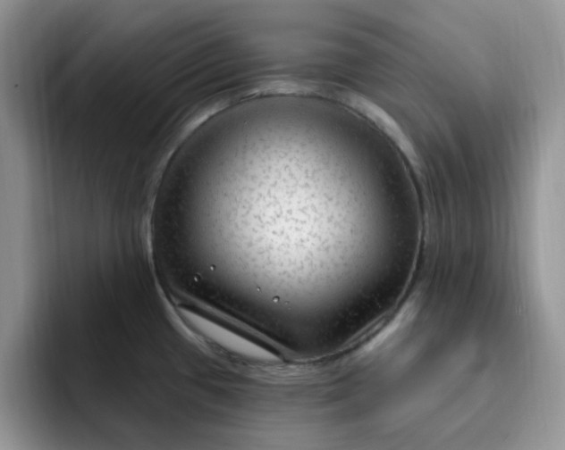 X0000091731433200709141216