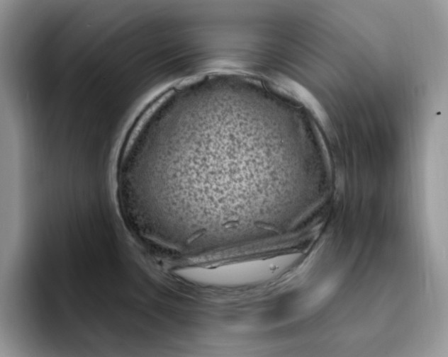 X0000091731435200709141216