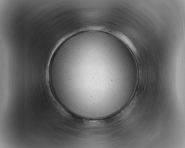 X0000091731436200709141216