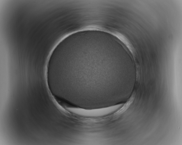 X0000091731438200709141217