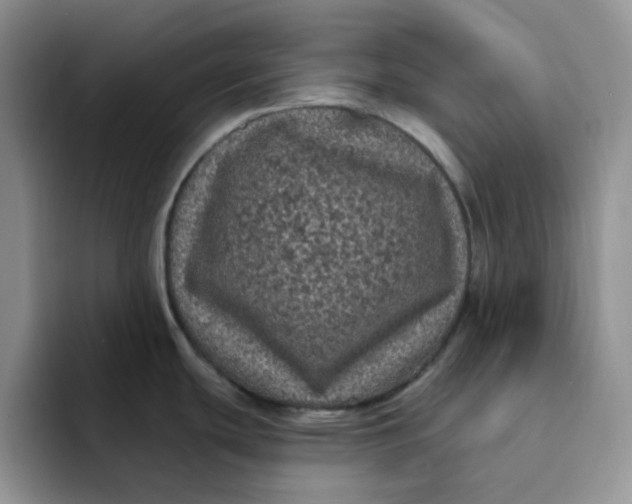 X0000091731439200709141217