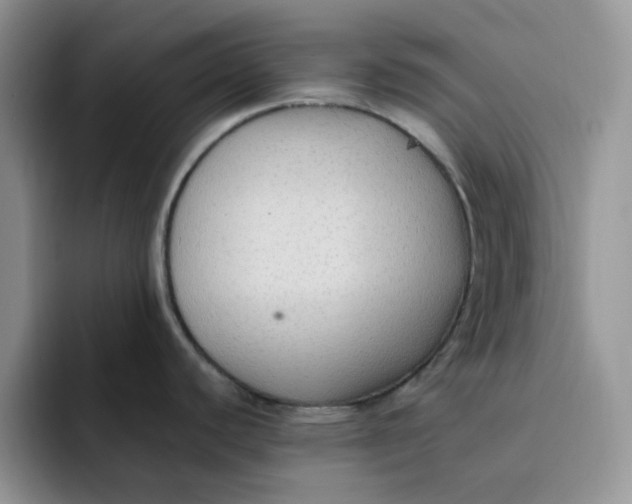 X0000091731440200709141217