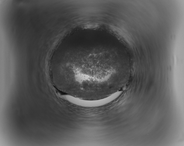 X0000091731441200709141216