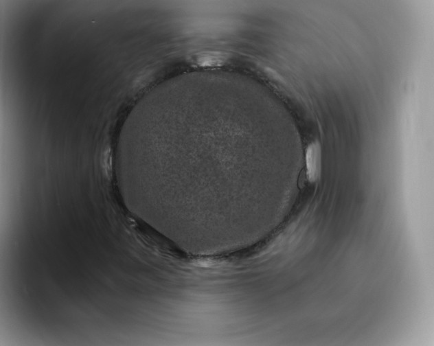 X0000091731443200709141216