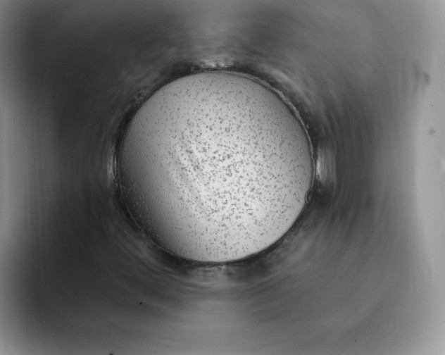 X0000091731444200709141216