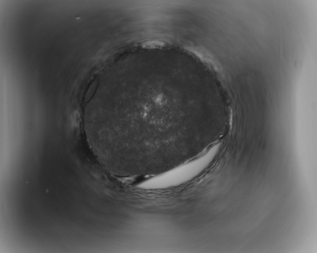 X0000091731445200709141216