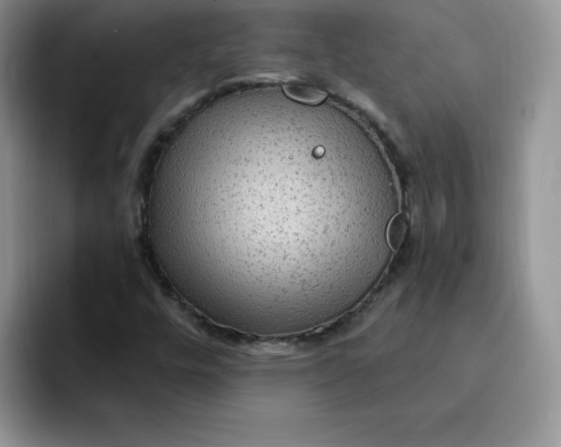 X0000091731448200709141216