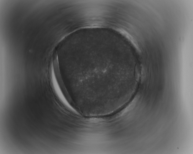 X0000091731449200709141216