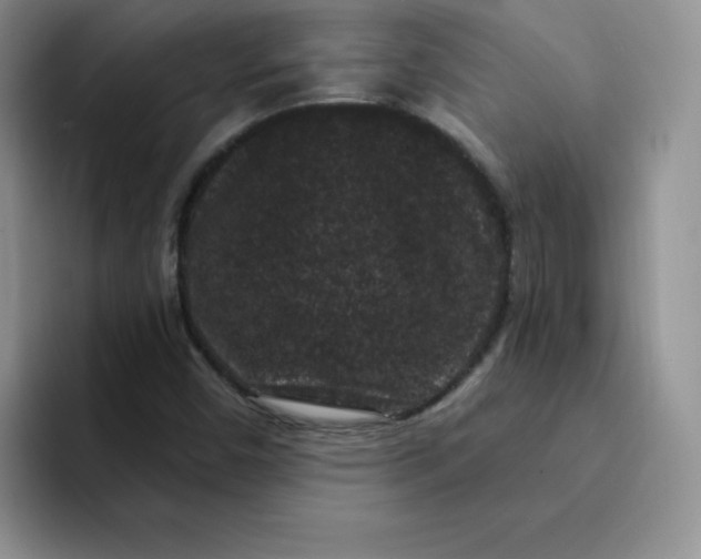 X0000091731450200709141216