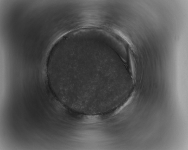 X0000091731453200709141216