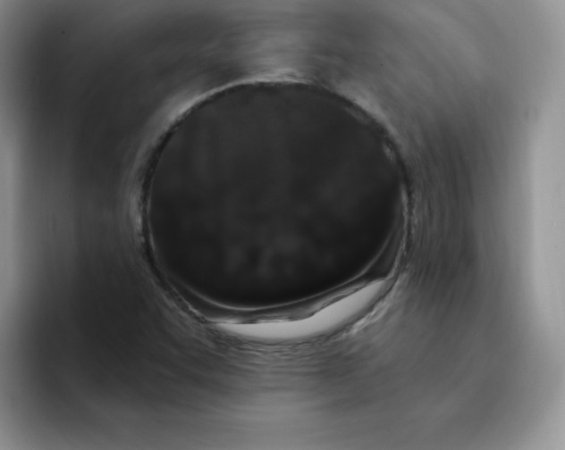 X0000091731455200709141216