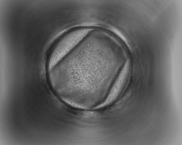 X0000091731456200709141216