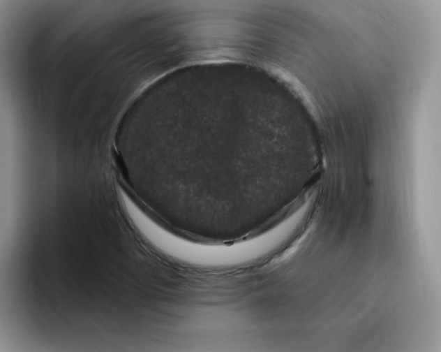 X0000091731457200709141216