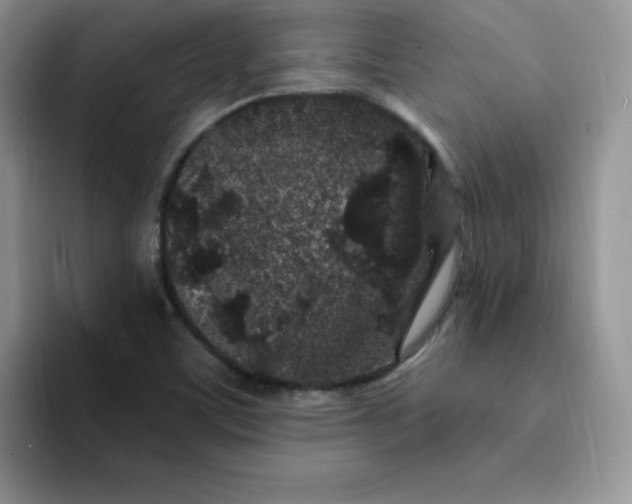 X0000091731459200709141216