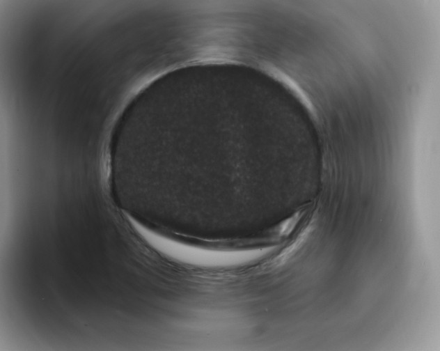 X0000091731461200709141216