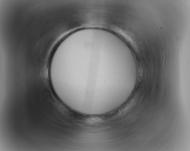 X0000091731462200709141216