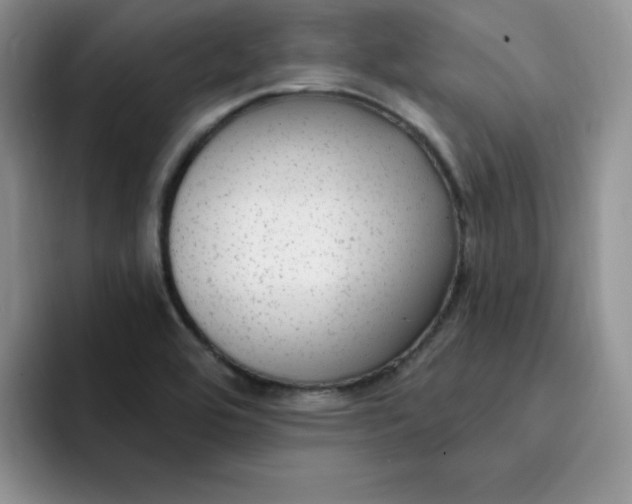 X0000091731464200709141216