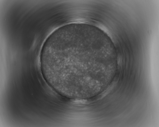 X0000091731466200709141216