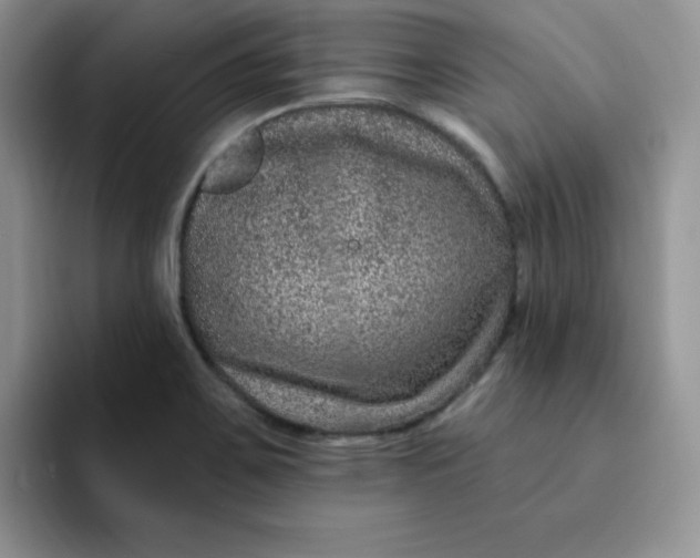 X0000091731467200709141216