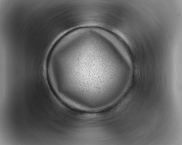 X0000091731468200709141216