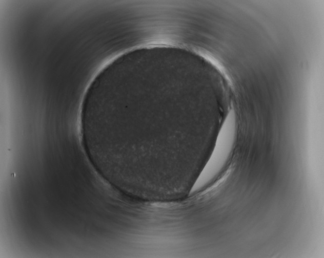 X0000091731469200709141216