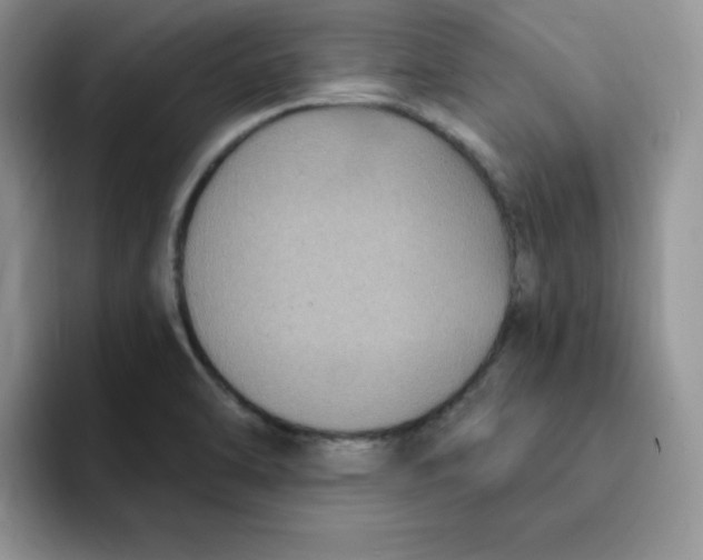 X0000091731470200709141216