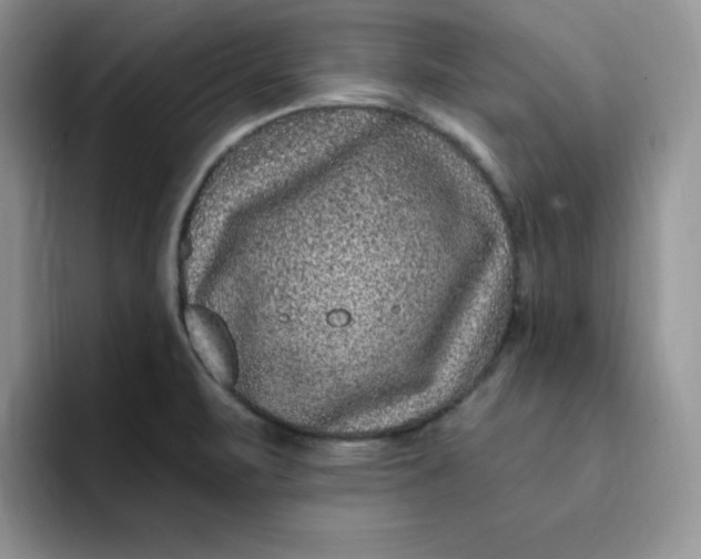 X0000091731471200709141216