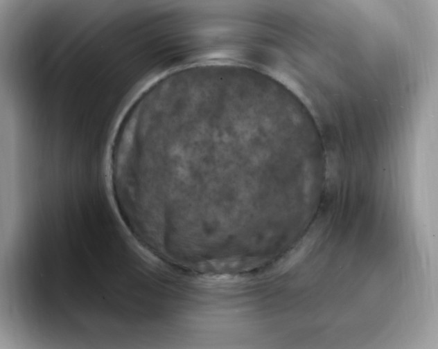 X0000091731474200709141215