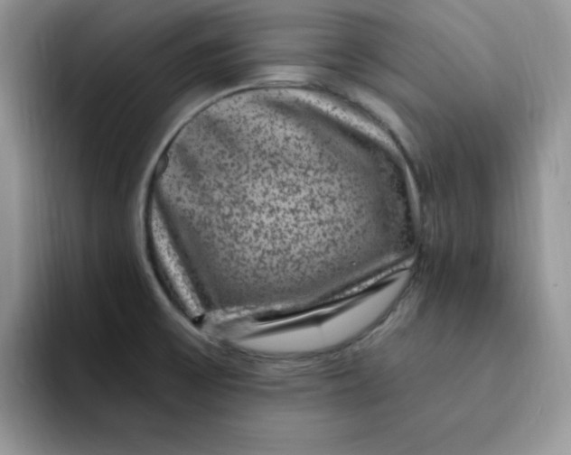 X0000091731475200709141215