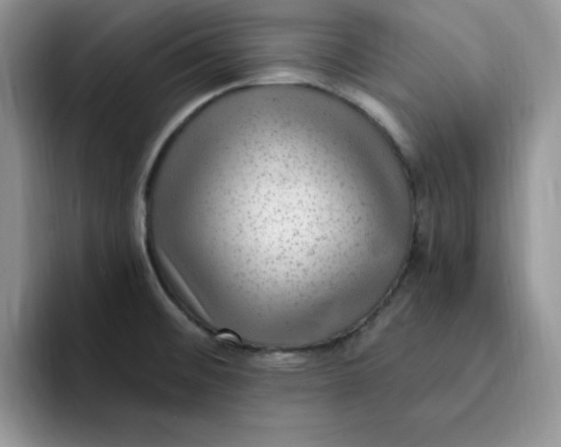 X0000091731476200709141215