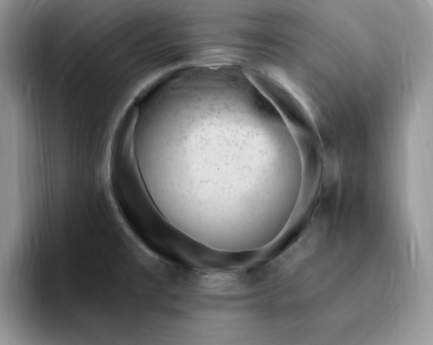 X0000091731477200709141215