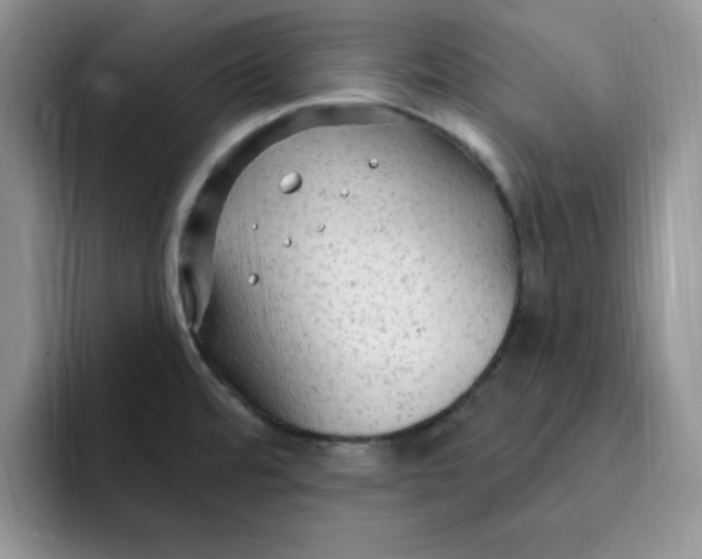 X0000091731480200709141215