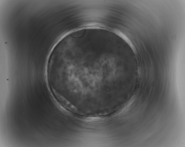 X0000091731482200709141215