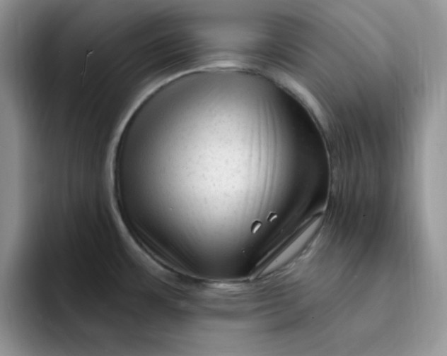 X0000091731483200709141215