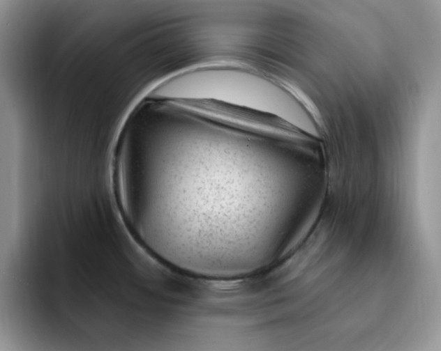 X0000091731484200709141215