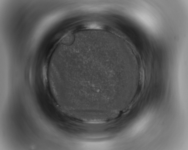 X0000091731487200709141215