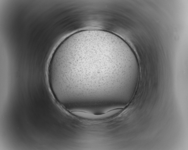 X0000091731488200709141215