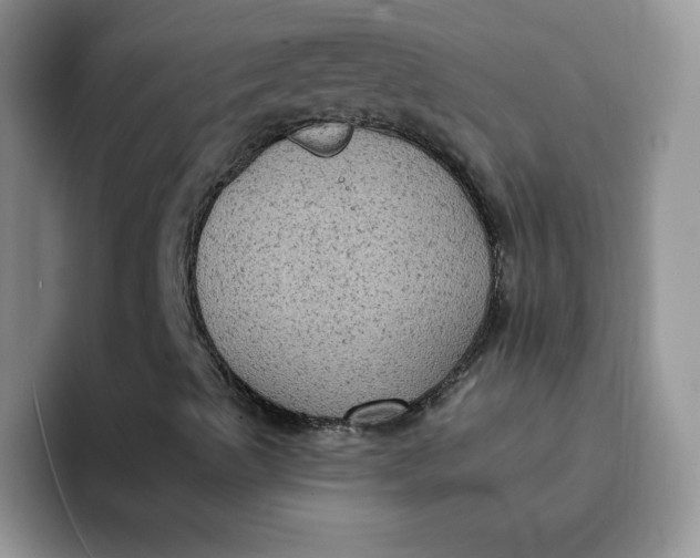 X0000091731489200709141215