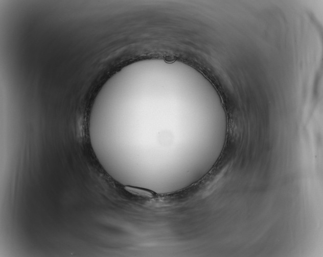 X0000091731490200709141215