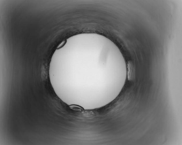 X0000091731491200709141215