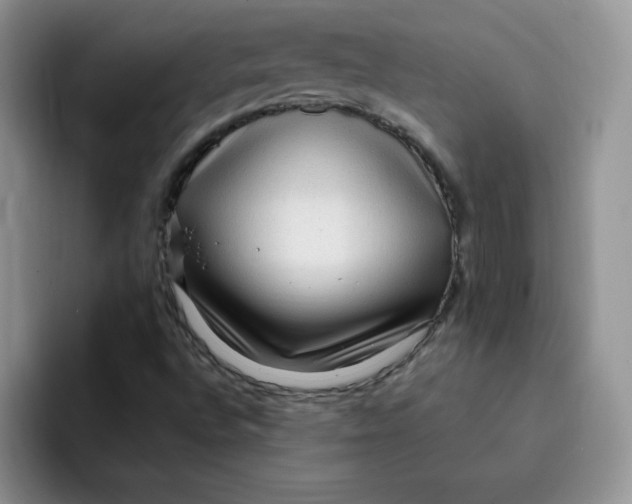 X0000091731496200709141215