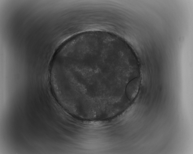 X0000091731497200709141215