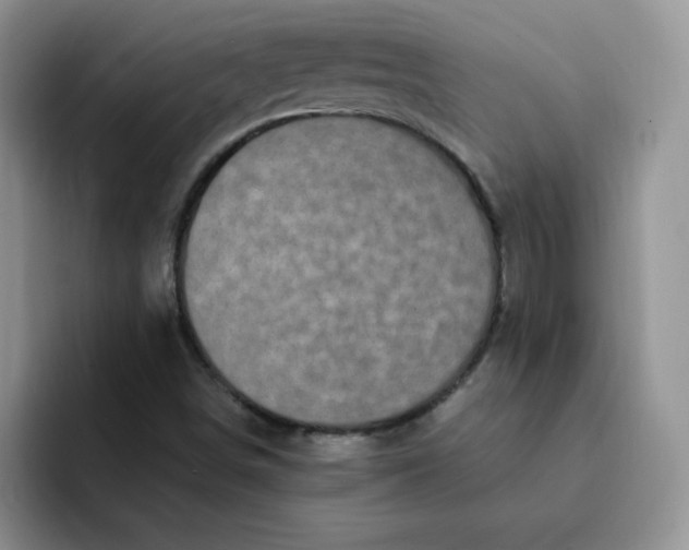 X0000091731498200709141215