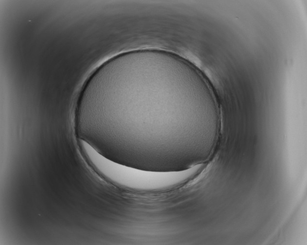 X0000091731500200709141215