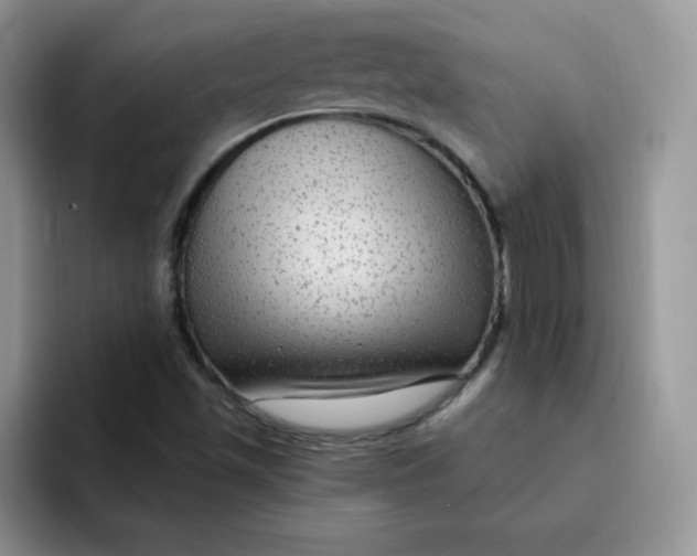 X0000091731501200709141215