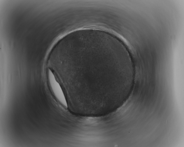 X0000091731506200709141215