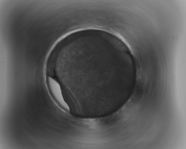 X0000091731508200709141215