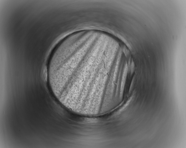 X0000091731509200709141215