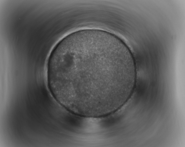 X0000091731514200709141215